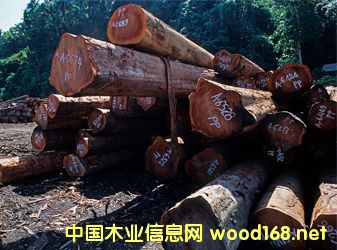 u(png)Ј(chng)Ĳ㣬tľָ(sh)յ0.71%