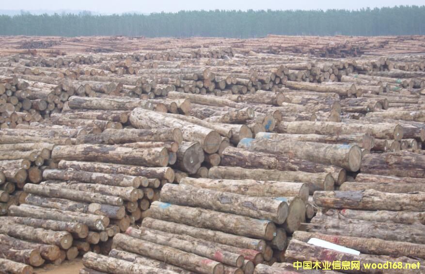 ľYԴHl(f)µȫľĺľĮa(chn)ƷЈ