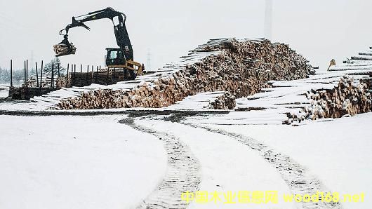 ߅푵һӋôM(jn)ľ20%P(gun)