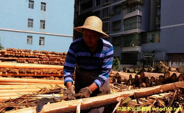 Ϫ(zhn)|ľѳɞ|؅^(q)ľĽ(jng)I(yng)Ј(chng)