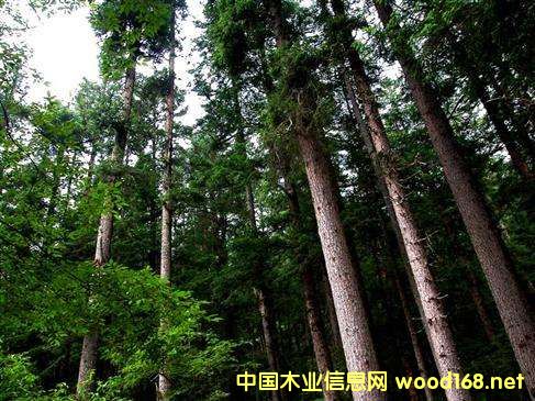 ՌݵľYԴԼľļӹI(y)