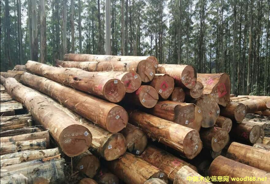 ̫}۰Mڅ(wn) MڰĴԭľq_λ