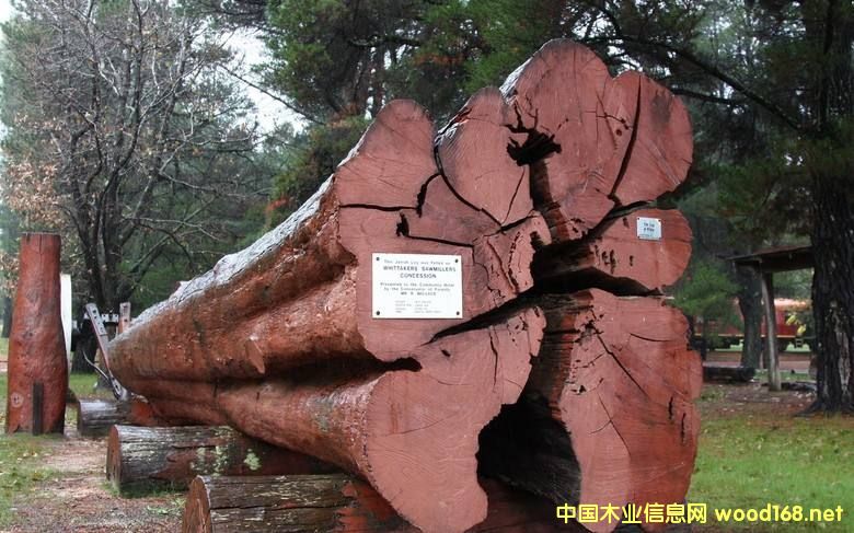 ľİٿƣZľ񣩣׷QѪ̴