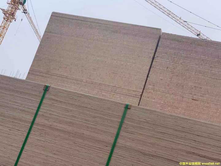 的詳細(xì)介紹