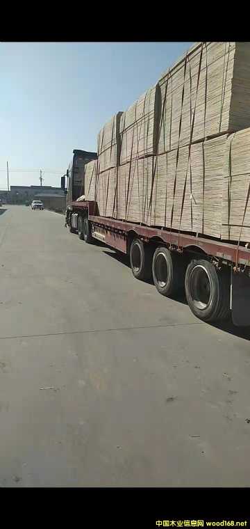 的詳細(xì)介紹