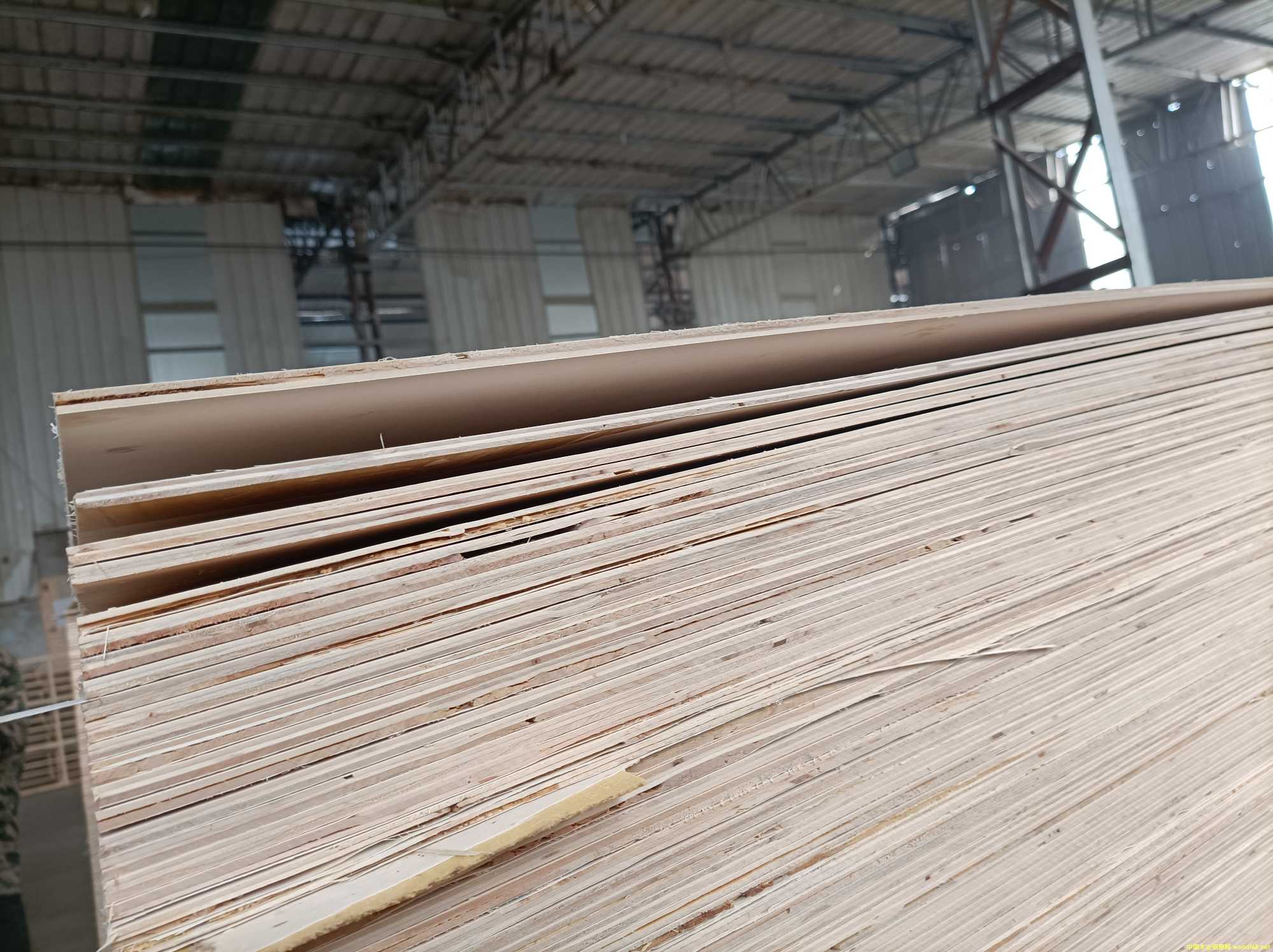 的詳細(xì)介紹