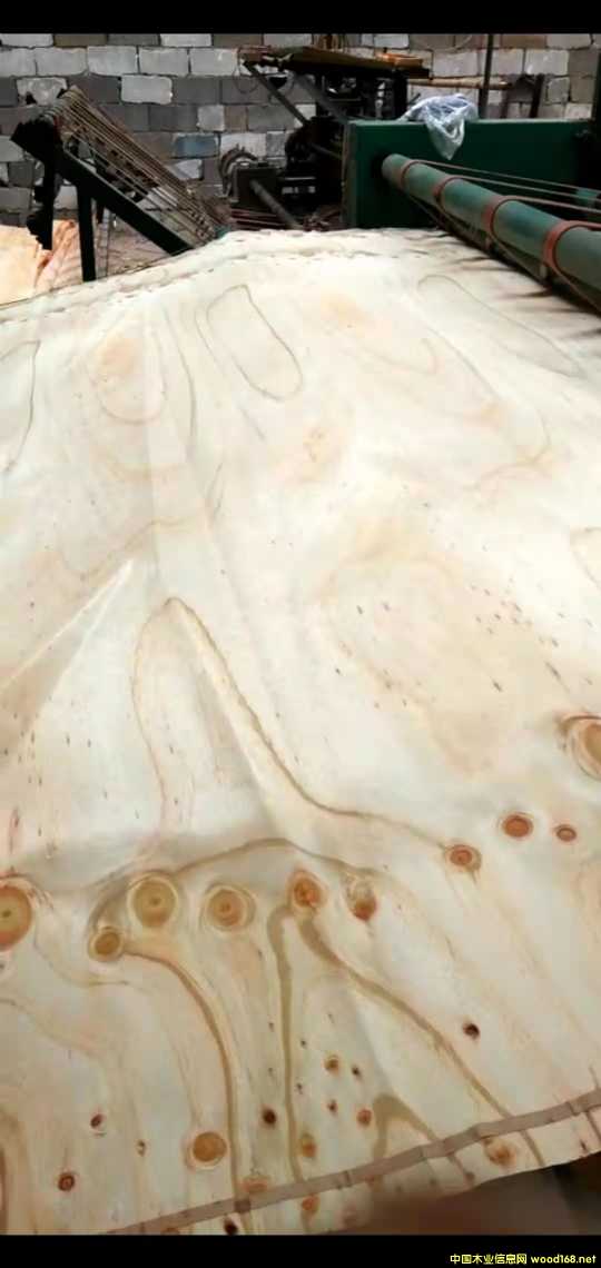 的詳細(xì)介紹