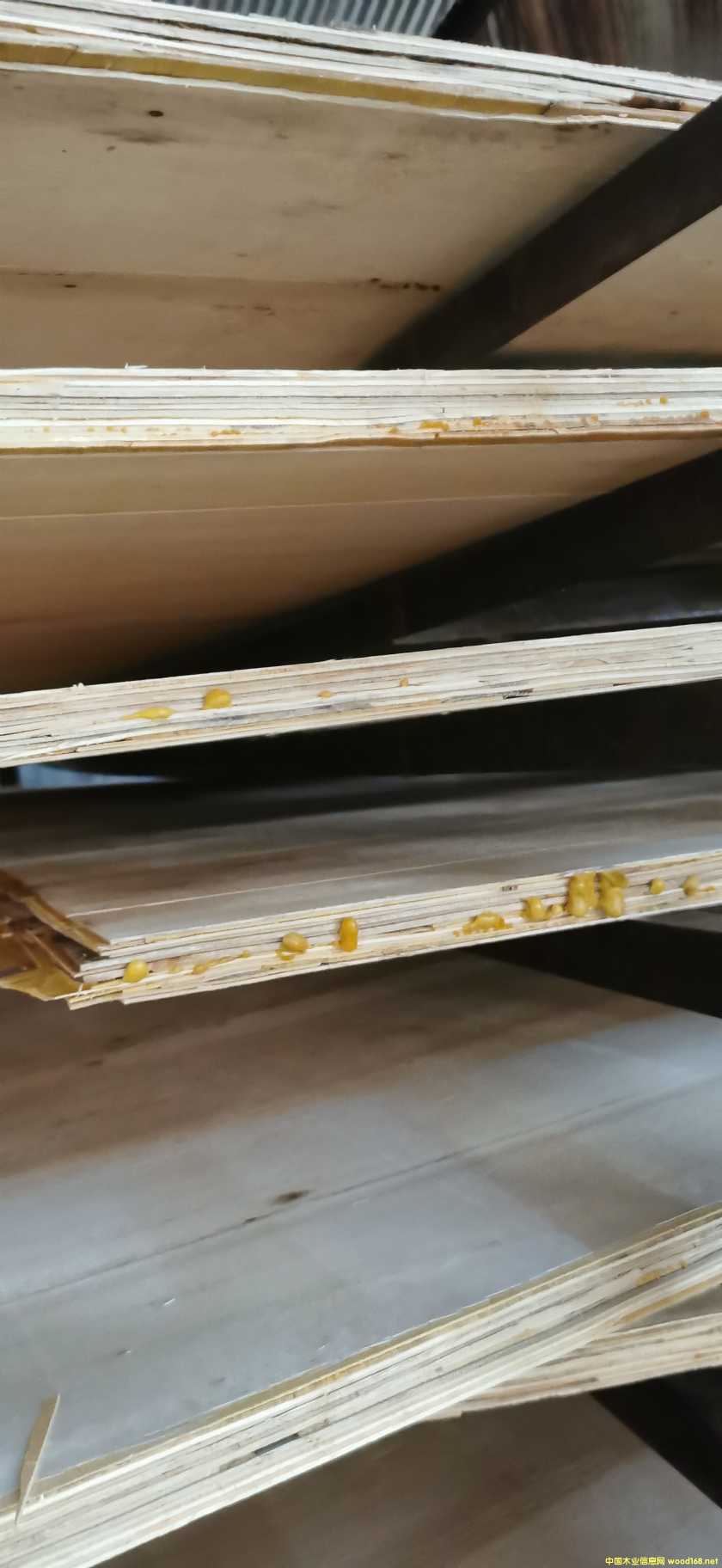 的詳細(xì)介紹