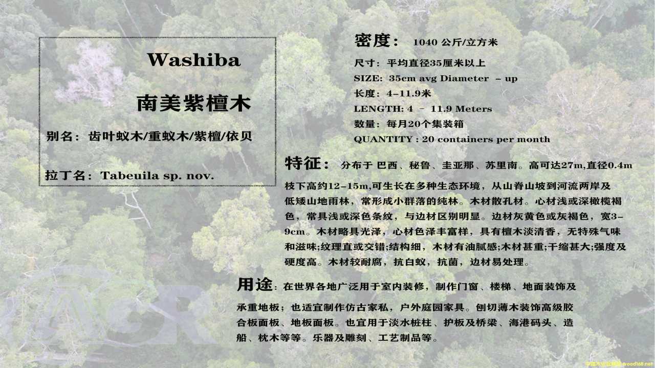 紫檀木的詳細(xì)介紹