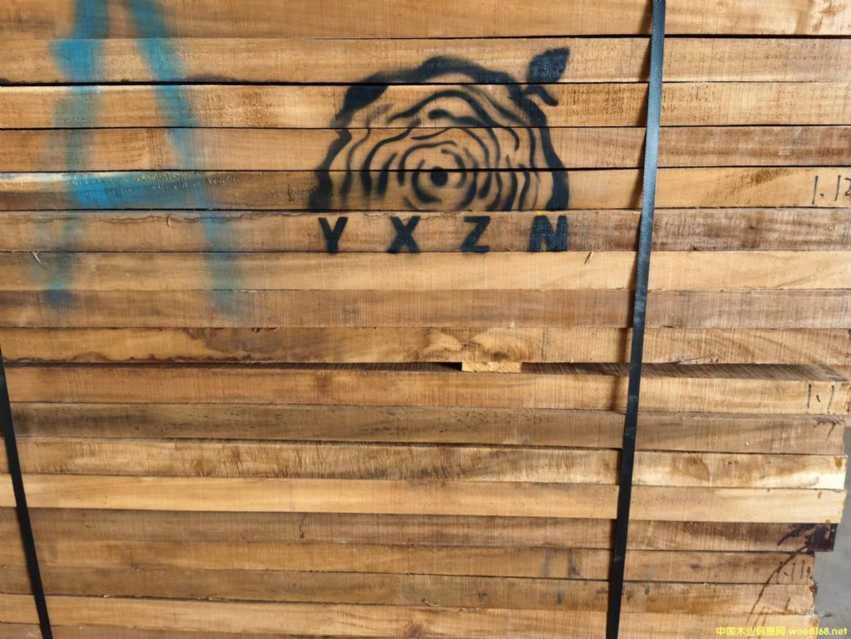 [] (yng)˼ľ~˼ľľ