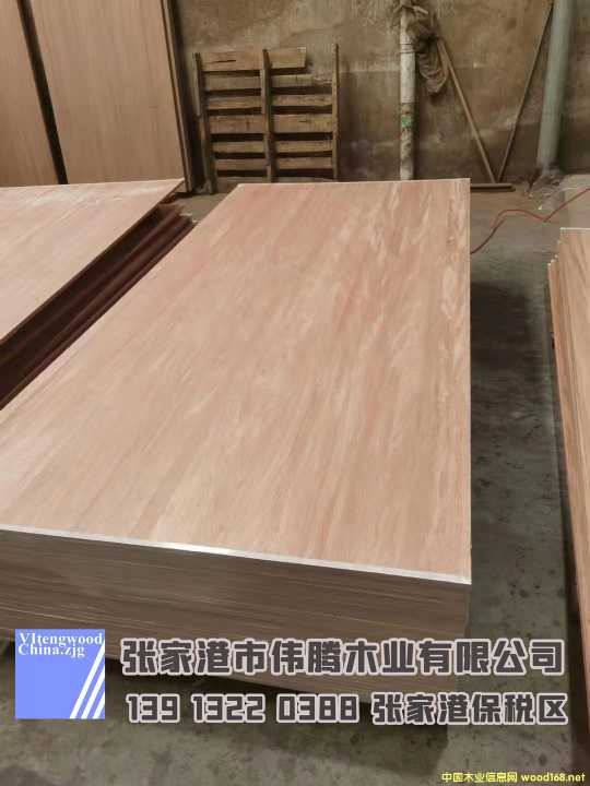 [] TB˹  zľҸۂvľI(y)