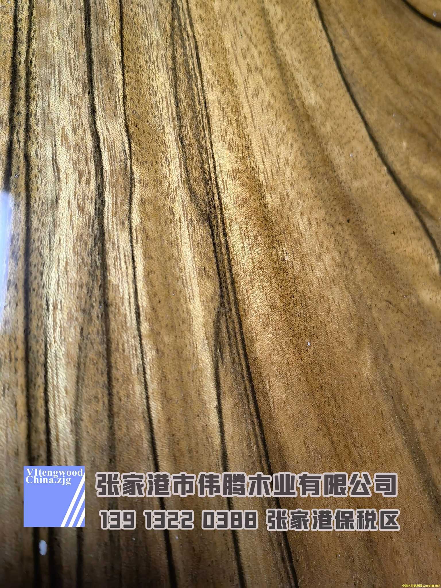 [] TB˹  zľҸۂvľI(y)