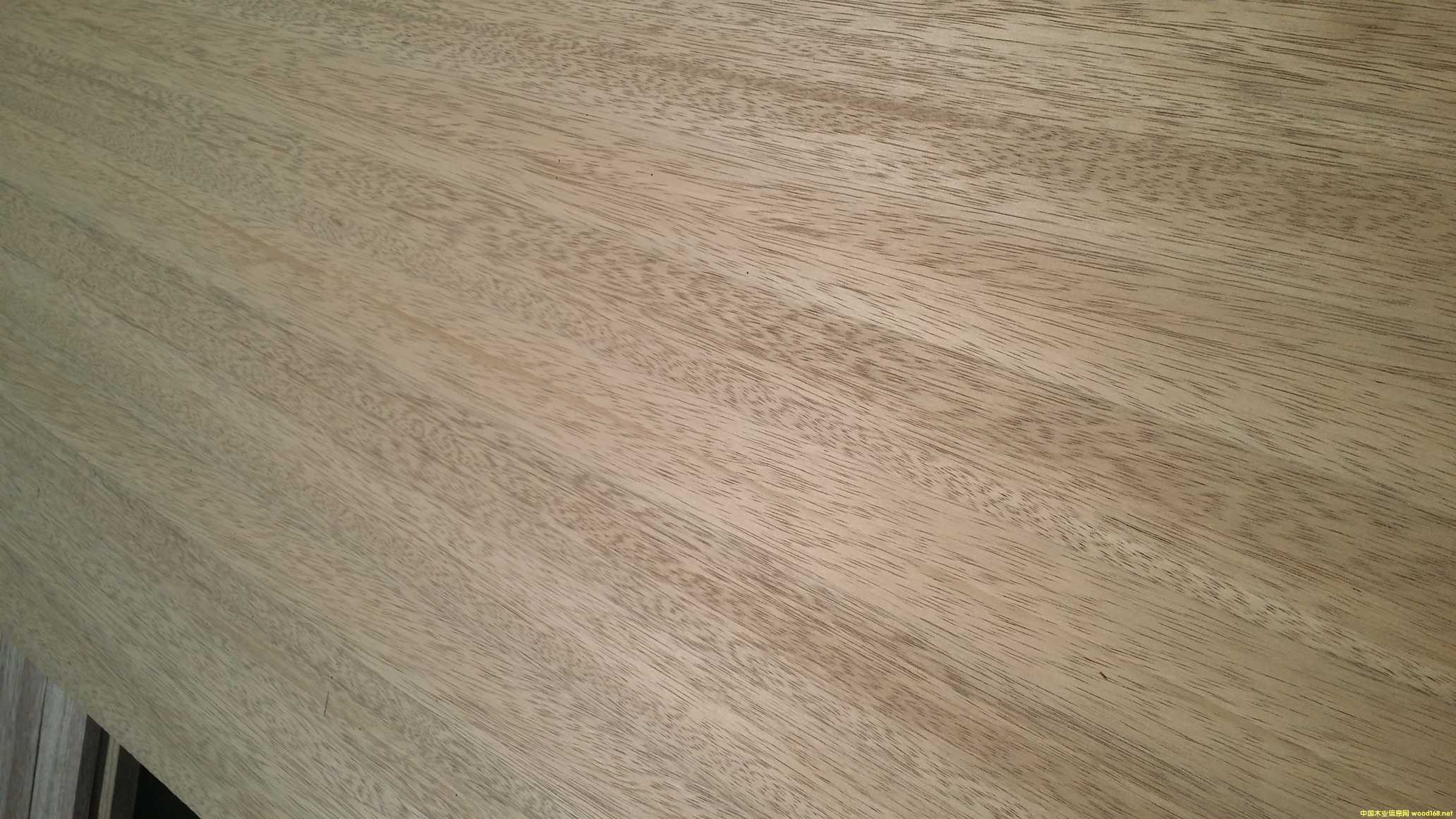 [] ںϚg יʿ˹ TBֱƴ ҸۂvľI(y)