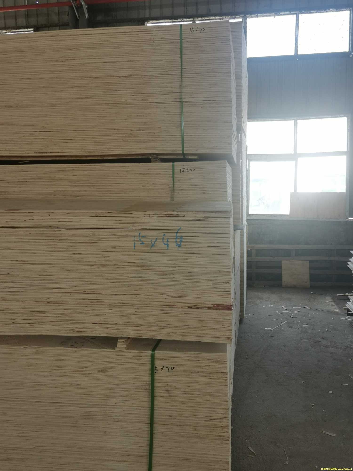 CARBP2E1E2 ľʮ ɳl(f) ɶ