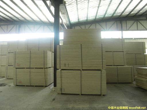 CARBP2E1E2 ľʮ ɳl(f) ɶ