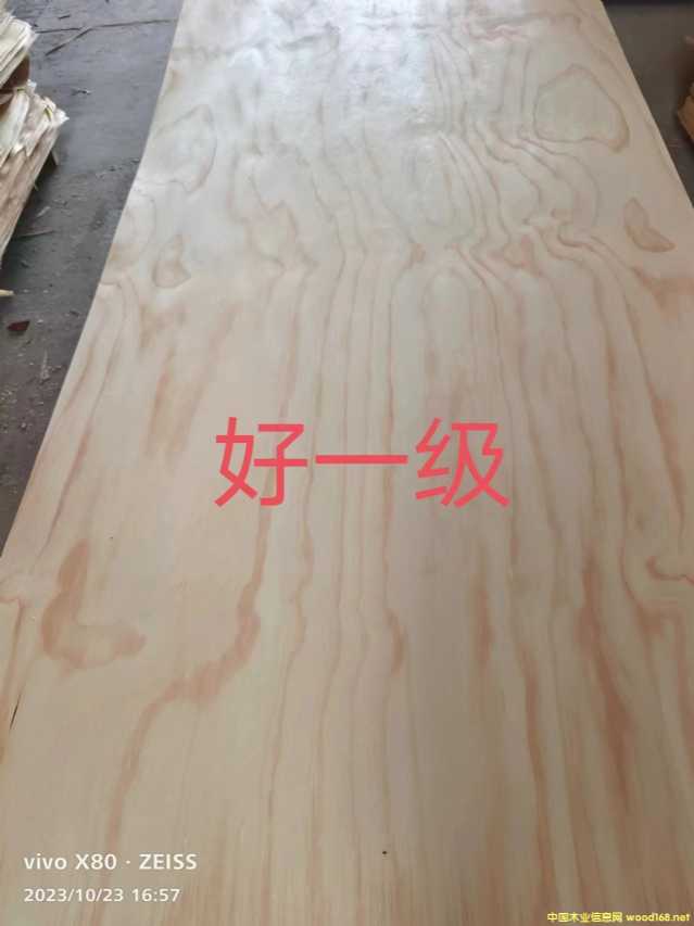 的詳細(xì)介紹