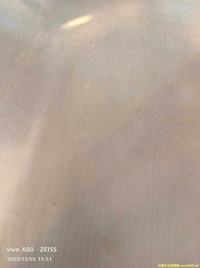 的詳細(xì)介紹