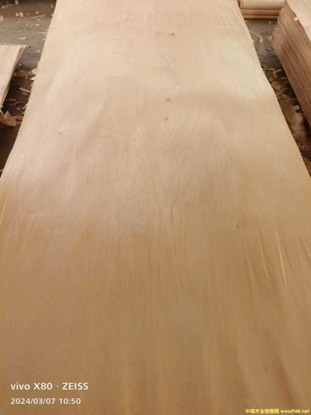 的詳細(xì)介紹