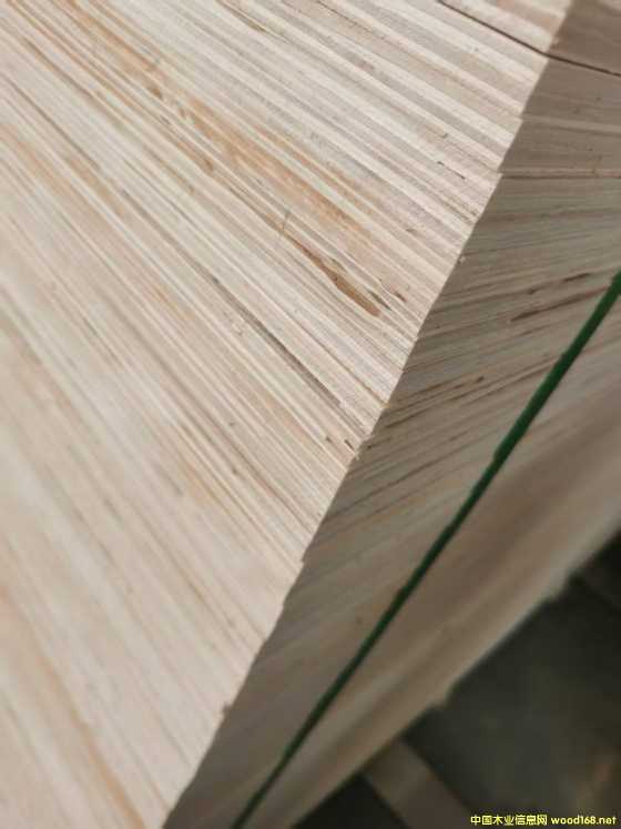 的詳細(xì)介紹