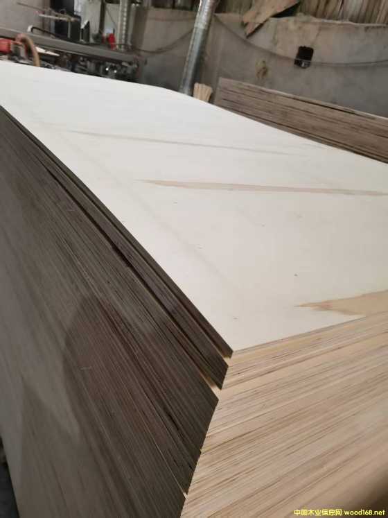 的詳細(xì)介紹